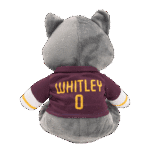 Shop new - - Lorem ipsum dolor sit amet, consectetur adipiscing elit. Ut elit tellus, luctus nec ullamcorper mattis, pulvinar dapibus leo. - - 656